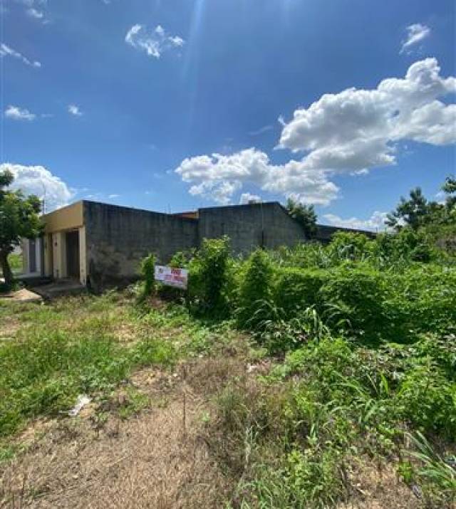 WhatsApp Image 2026-02-13 at 17.29.52 1.jpeg